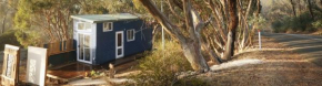 Blue Orchid Tiny House